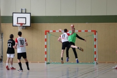 A-Ju-Lauf13